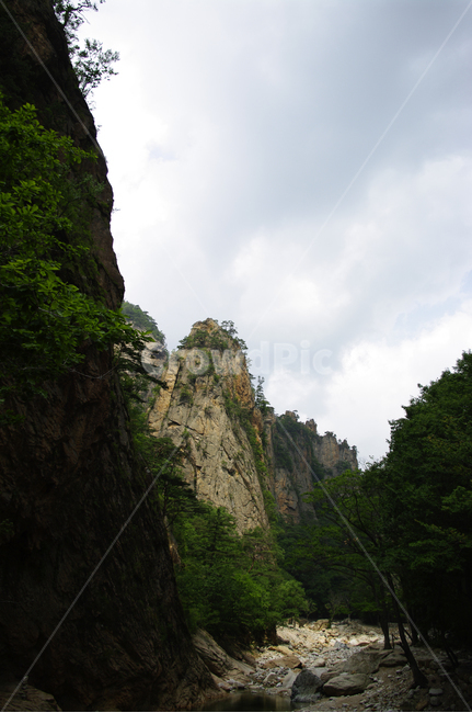 산,계곡,바위,암석,풍경,나무,자연,풍경,nature,landscape,cliff,낭떠러지,outdoors,옥외