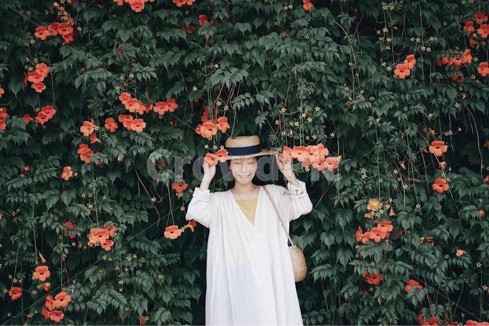 능소화,꽃,여름꽃,여자,사람,flower,사람,인물,인간,human,person,여성,여자,woman,female,lady,여행,휴가,traveling,vacation,trip,감성,sensible,feeling