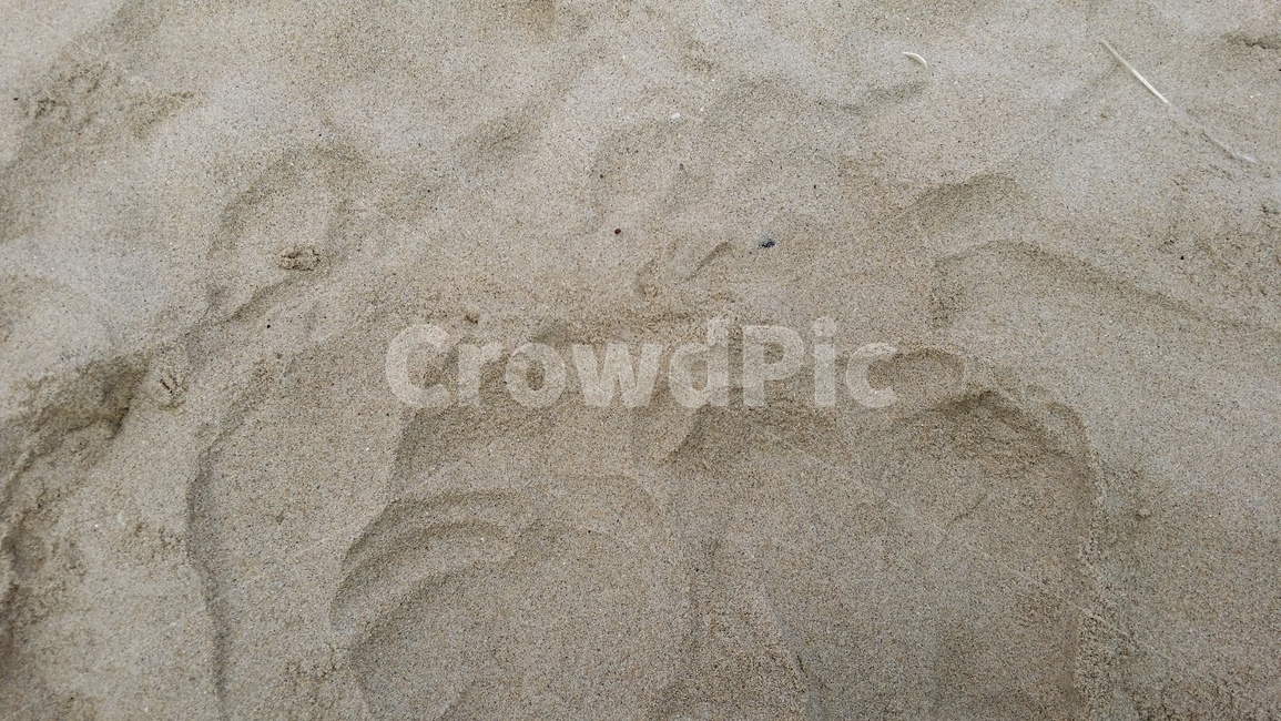 모래사장,바닷가,해변,모래,사막