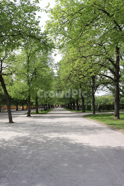 공원,park,옥외,초목,나무,식물,tree,grass,plant,outdoors,식물,자연,plants,nature,나무,trees,wood
