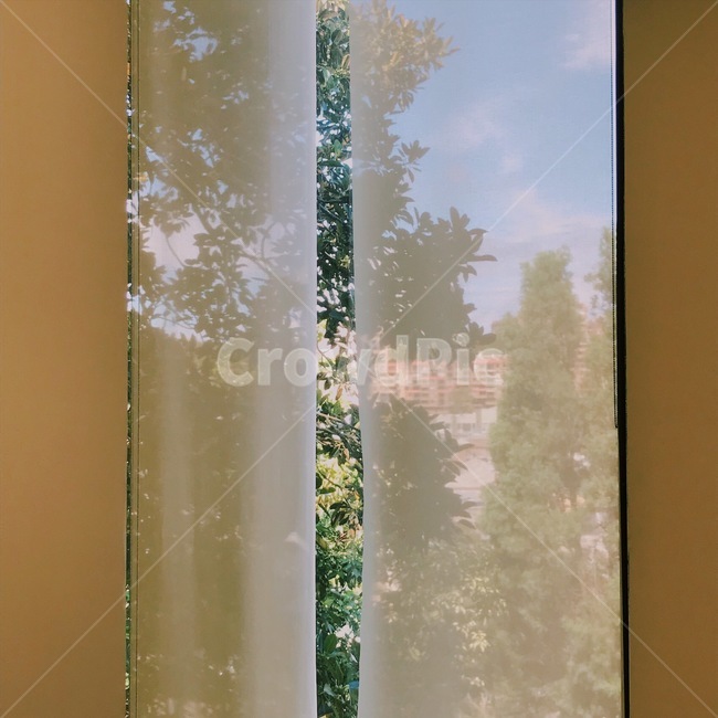 감성,감성사진,오후,커튼,시드니,갤러리,창문,인테리어,실내디자인,interior design