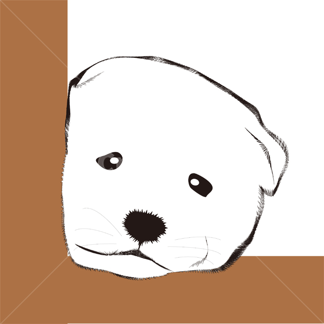 puppy,dog character,Jindo dog,native dog,cute,Korean dog