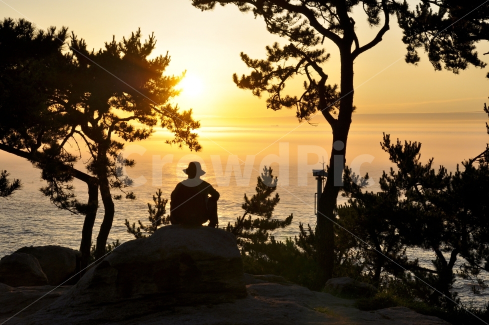 울산,감성,감성사진,대왕암,니콘,nikon,landscape,자연,풍경,nature,landscape,한국자연풍경,한국자연경관,korea nature landscape,사람,인물,인간,human,person,실루엣,그림자,silhouette,shadow,인물실루엣,사람실루엣,character silhouette,human silhouette,휴식,힐링,rest,relaxation,healing,sunlight,햇빛,outdoors,옥외,sky,하늘,red sky,붉은 하늘,sunset,일몰,dawn,새벽,dusk,황혼,plant,식물,tree,나무