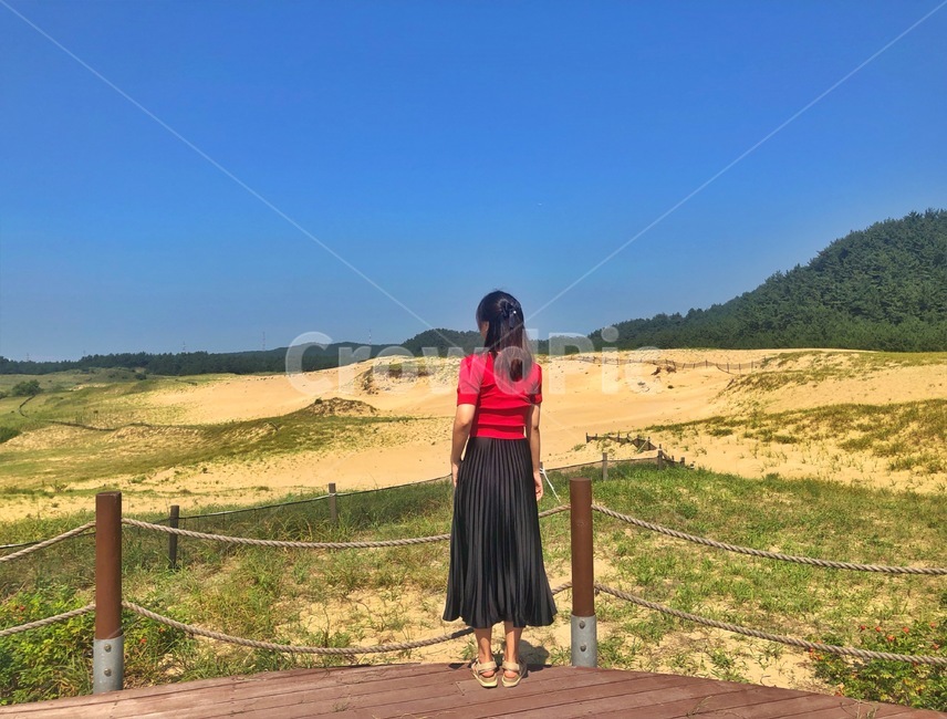 수목원,자연,나무,푸른하늘,여자전신,nature,arboretum,sky,womenstelegraph,scenery,사람,인물,인간,human,person,여성,여자,woman,female,lady