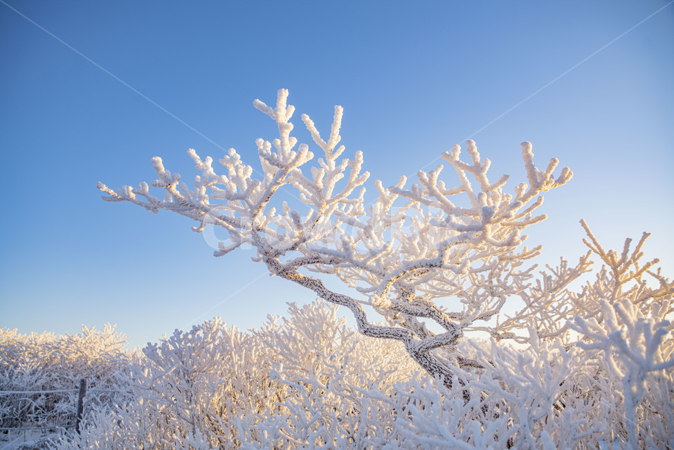 설산,태백산,겨울산,겨울,상고대,풍경,산,겨울풍경,눈꽃,nature,자연,snow,눈,겨울,계절,winter,season,자연,풍경,nature,landscape