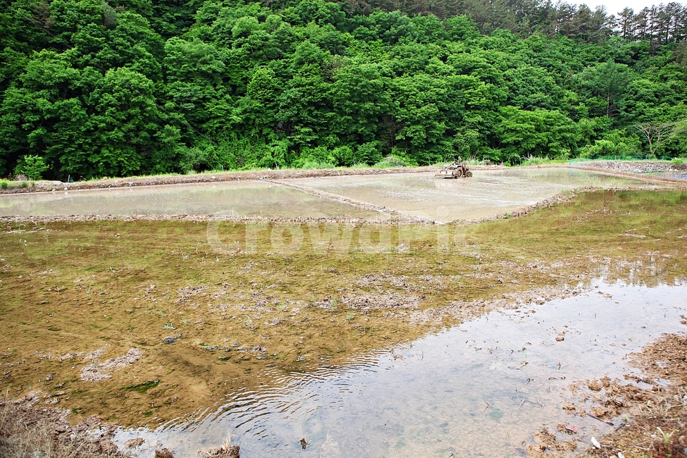 논갈이,농사,트렉터,논,풍경,배경,자연,산업,industry,industrial,농업,농사,agriculture,farming,farming industry