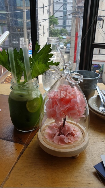 수국,꽃,드링크,에이드,식탁,flower,음료수,drink,beverage