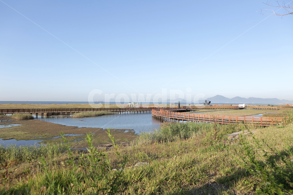 nature,자연,outdoors,다대포해수욕장,일몰,고우니생태길,자연,풍경,nature,landscape