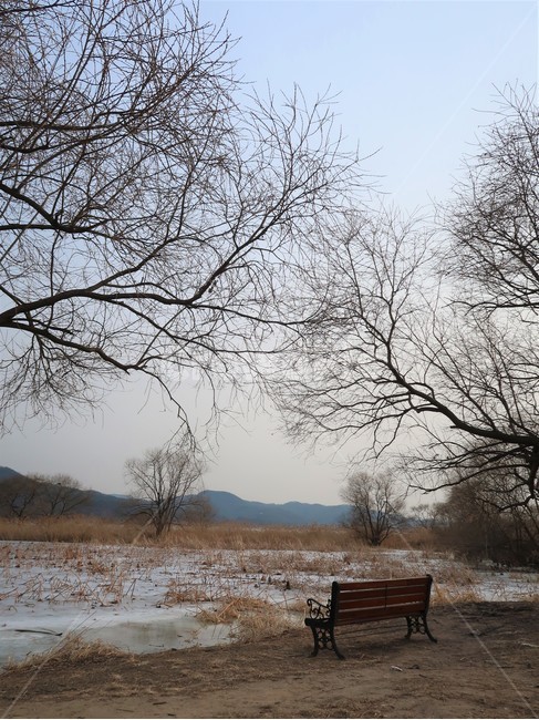 여행,겨울,외로움,두물머리,풍경,겨울,계절,winter,season,자연,풍경,nature,landscape