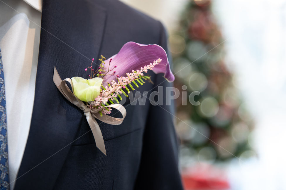 결혼식,신랑,턱시도,결혼,코사지,marry,wedding,웨딩,남편,결혼,혼례,웨딩,wedding,marriage,marry