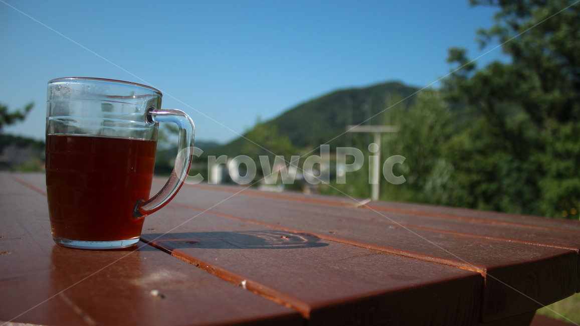 커피,coffee,산,mountain,나무