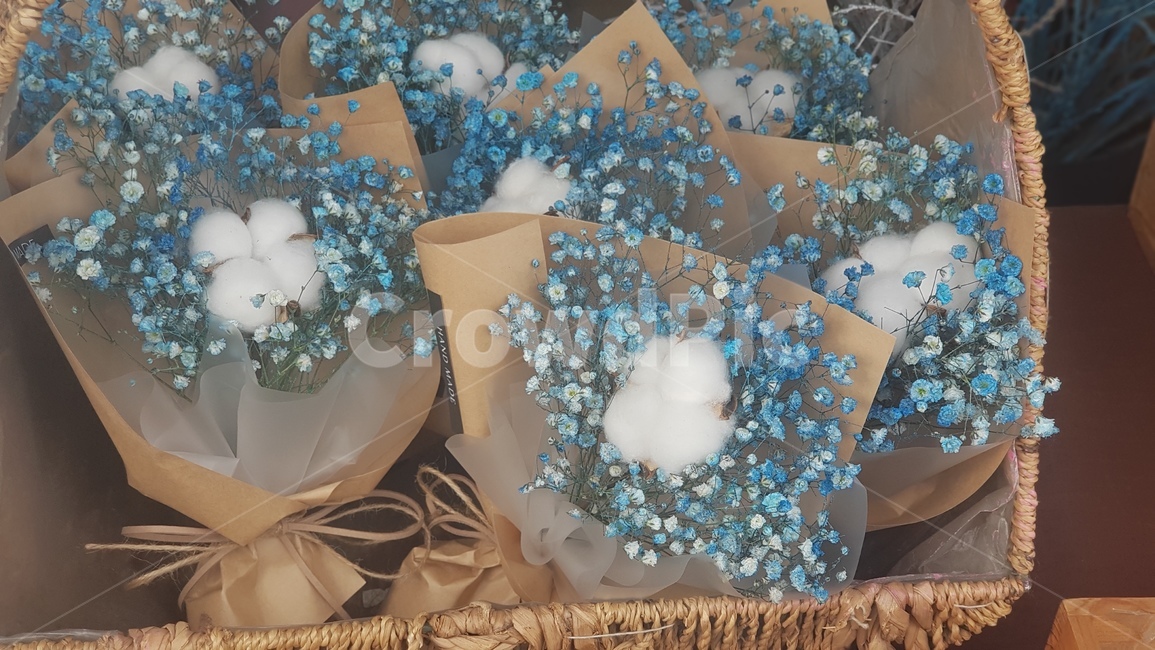 꽃,여자친구선물,꽃다발,목화,안개꽃,꽃,flower,기념일,축하,anniversary,congratulation,celebrate,celebration