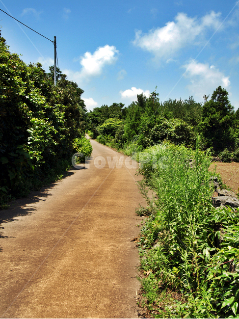 올레3코스,올레,제주,서귀포,푸른하늘,흰구름,자연,올레길,자연,풍경,nature,landscape,dirt road,흙길,road,도로,gravel,자갈