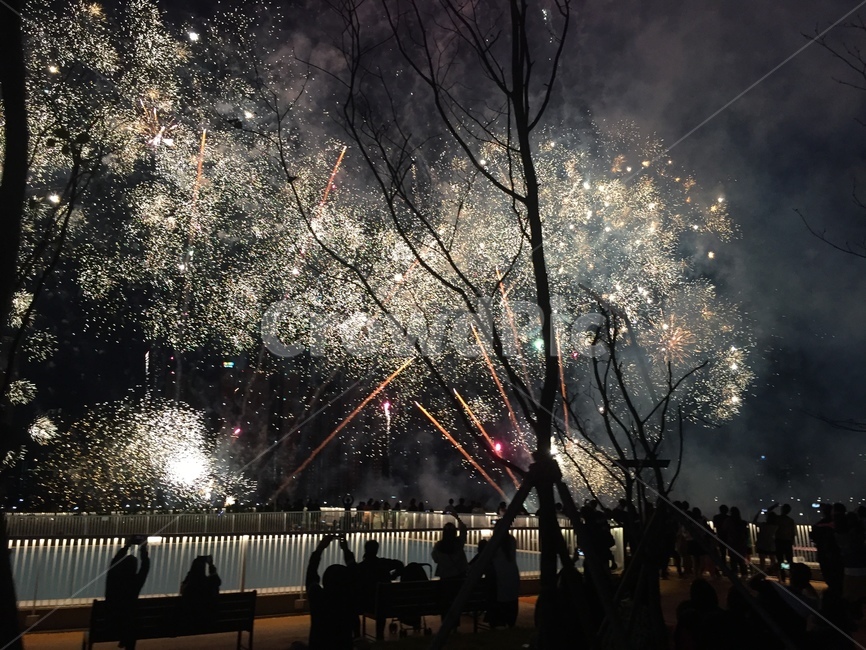 불꽃놀이,불꽃축제,송도,인천,불빛,그림자,새벽,밤,축제,피날레,폭죽,폭죽놀이,감성사진,야경,밤,풍경,nightscape,night,landscape,사람들,대중,군중,other people,crowd,축제,행사,festival,carnival,event,lighting,조명