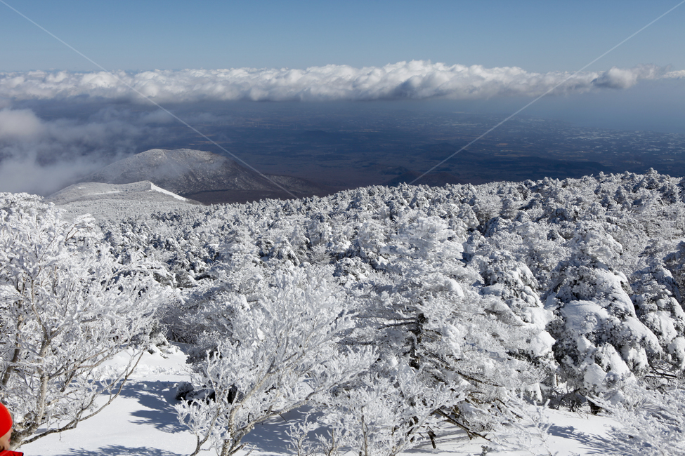 겨울,한라산,설경,자연,눈꽃,겨울,계절,winter,season,자연,풍경,nature,landscape,outdoors,옥외,mountain,산