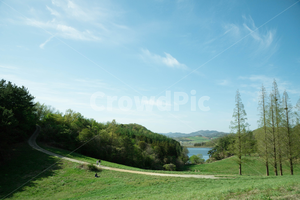 하늘,구름,나무,파릇파릇,청량함,푸름,싱그러움,산책,자연,오솔길,호수,tree,green,sky,cloud,path,lake,자연,풍경,nature,landscape,field,들