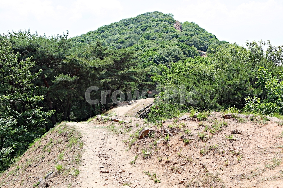 전등사,성곽,전등사둘레길,길,돌담,풍경