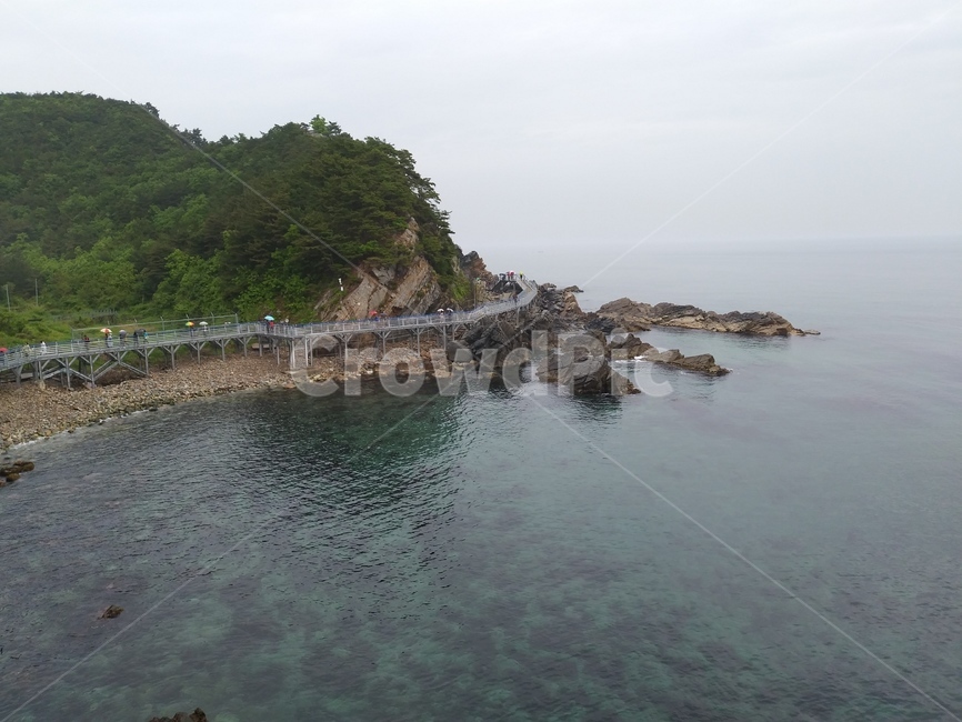 부채바위,부채길,정동진부채바위,강릉부채바위,부채바위해안가,해안가길,해안선,sea,바다,자연,풍경,nature,landscape