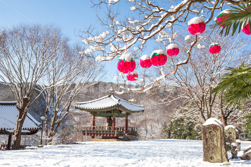 자연,풍경,연등,등,등불,불교,종교,겨울,눈,설경,건축,고건축,하늘,나무,배롱나무,마당,종각,겨울,계절,winter,season,자연,풍경,nature,landscape,한국자연풍경,한국자연경관,korea nature landscape,한국전통,한국문화,korean traditional,korean culture