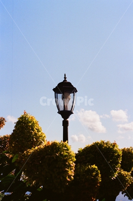 하늘,구름,나무,가로등,sky,cloud,tree,streetlamp,peaceful,필름사진,filmphoto