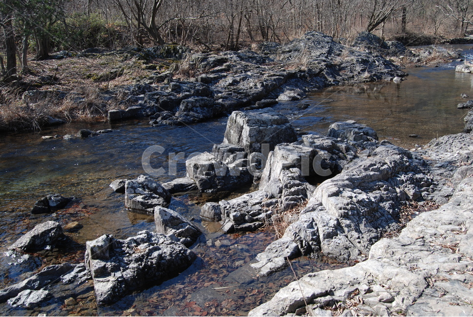 나무,돌,stone,water,tree,자연,풍경,nature,landscape,rubble,파편,ground,바닥