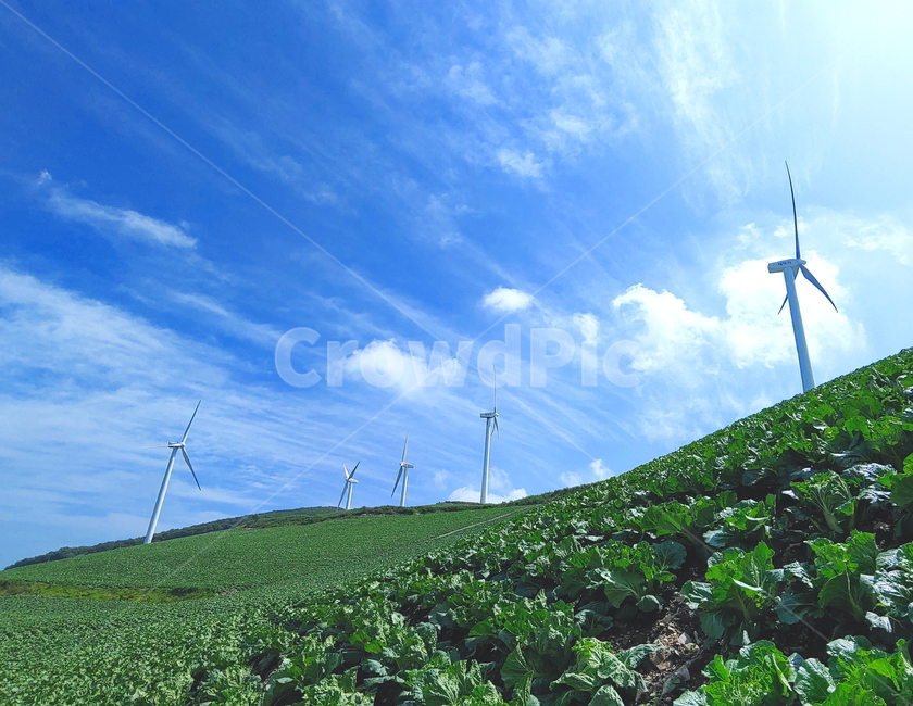 풍경,여름풍경,하늘,구름,산풍경,에너지산업,energy industry,machine,기계,motor,모터,engine,엔진,outdoors,옥외
