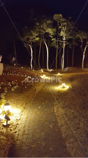 공원,야경,나무,조명,잔디,led,자연,풍경,nature,landscape,flare,플레어,light,빛,lighting