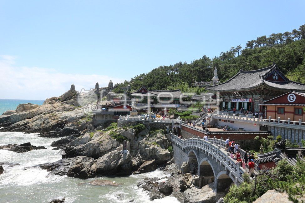 부산,기장,해동용궁사,절,바다,건축물,busan,gijang,haedongyonggungsa,temple,불교