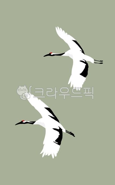 새, 학, 두루미, 동물, 날개, 사진,이미지,일러스트,캘리그라피 - WildTraveler작가