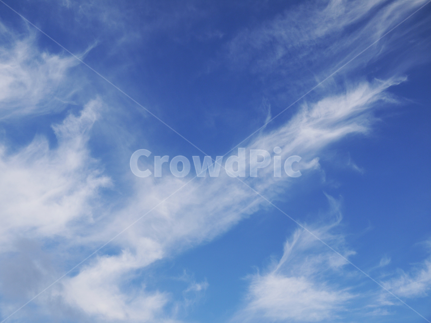 sunshine,season,cumulus,sunny,color,wind,freedom,heavenly,whiteclouds,skyclouds,skybackground,azure,fresh,pure,seasonal,meteorology,peace,view,landscape,soft,pattern,clouds,scenic,design,backdrop,daylight,natural,environment,sunlight,cloudscape,atmosphere,beauty,cloud,high,climate,bright,air,beautiful,white,heaven,cloudy,light,background,weather,nature,blue,sky,하늘,자연,날씨,배경,아름다운,푸른,구름,구름풍경,흐린,적운,환경,신선한,천국,높은,경치,풍경화,하늘구름,하늘배경,햇빛,흰구름