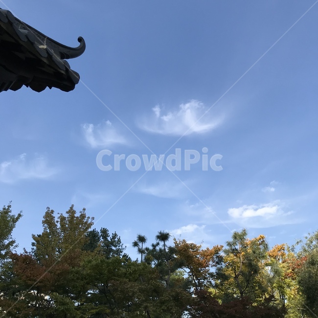 구름,하늘,가을,자연,sky