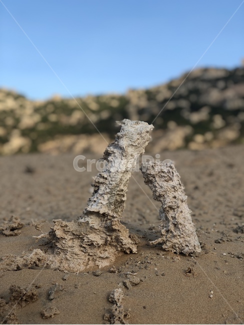 ground,바닥,soil,산호,흙,사막