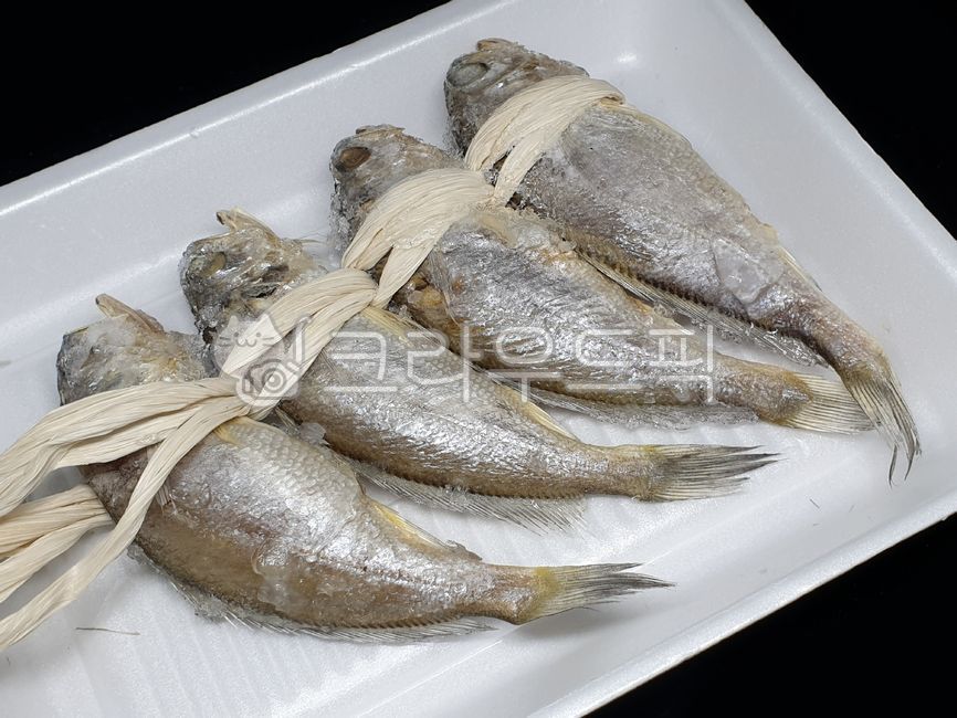 조기, 굴비, 물고기, 생선, fish, 사진,이미지,일러스트,캘리그라피 - 드래곤볼작가