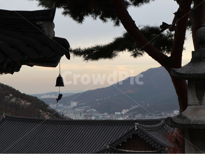 절,종,소나무,기와,지붕,바람,한국전통,한국문화,korean traditional,korean culture,종교,신앙,religion,belief,faith