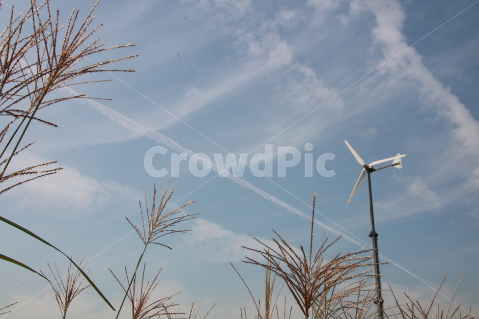 하늘공원,갈대,풍력발전,구름,풍경,하늘,자연,풍경,nature,landscape,plant,식물,grass,잔디