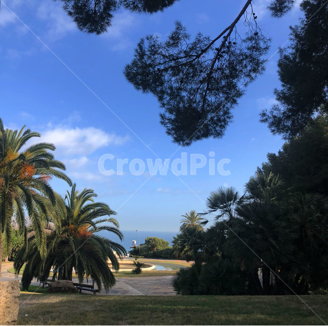 atmosphere,spain,romance,barceloneta,beauty,dusk,clouds,domestic travel,scenery,sun,sea,wave,summer,barcelona,sunset photo,sky,waves,setting sun,red sky,sea photo,photo,espana,horizon,emotion,blue,sky blue,beach,sunset,glow,evening sky,wind