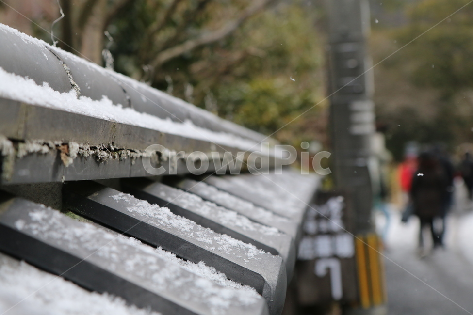 지붕,기와,길,눈,겨울,겨울,계절,winter,season