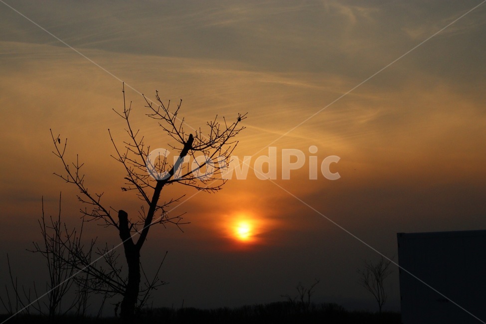 노을,나무,석양,붉은석양,붉은노을,구름,하늘,자연,풍경,nature,landscape,outdoors,옥외,sunset,일몰,red sky,붉은 하늘,sky,dusk,황혼,dawn,새벽