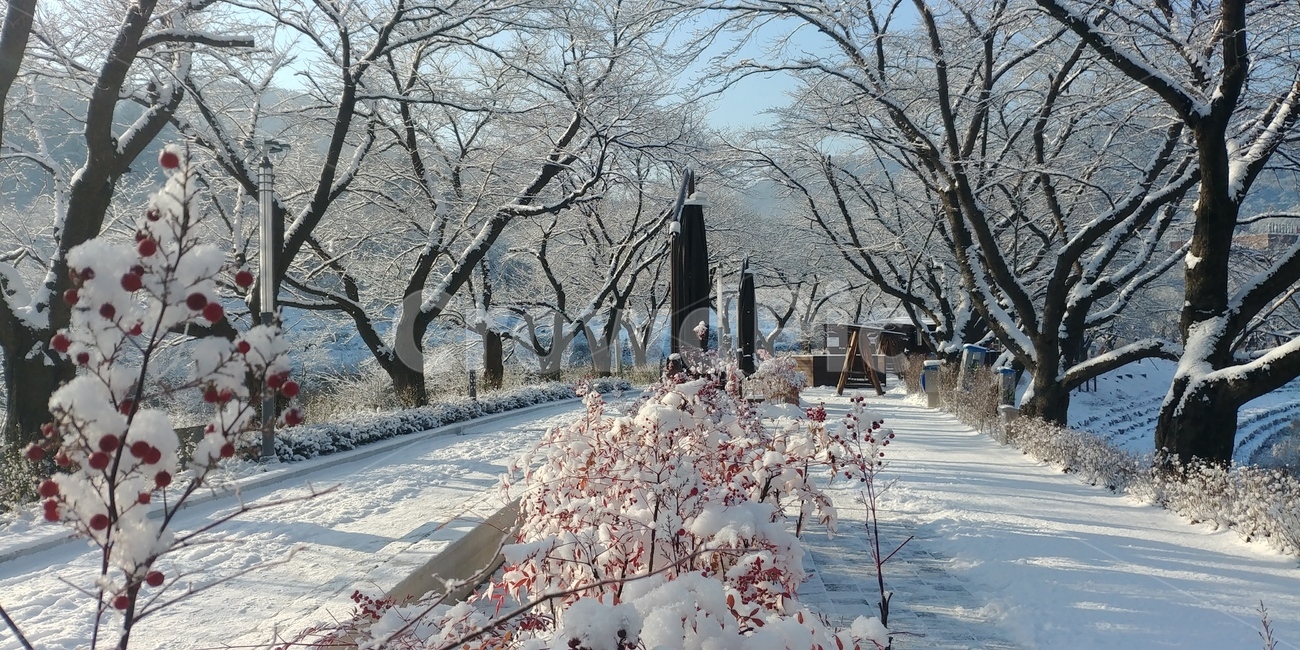 수안보,눈,겨울,얼음,하얀색,추위,따뜻함