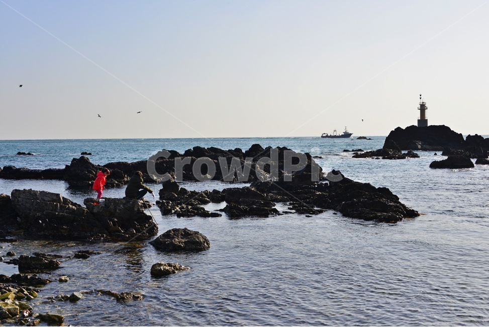 outdoors,옥외,nature,자연,water,물,ocean,대양,sea,바다,shoreline,해안선,coast,연안,해변,경주,양남,읍천,읍천주상절리,주상절리,person,사람,human,인간