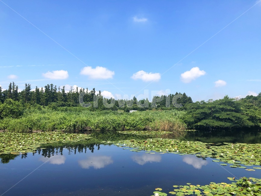 nature,자연,water,연못,land,구름,자연,풍경,nature,landscape,물,outdoors,옥외,땅