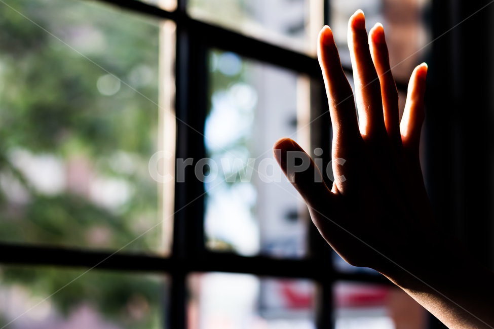 손,hands,역광,backlight,counterlight,창가,window,seat,사람,인물,인간,human,person,신체일부,몸,body,감성,sensible,feeling