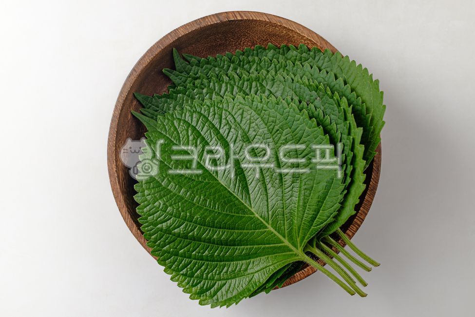 깻잎, 잎, 깨, 채소, 채식, 사진,이미지,일러스트,캘리그라피 - Ntjdals2245작가