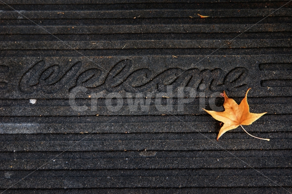 단풍,가을,나뭇잎,매트,웰컴,연출,사물,환영,건조,Fall,Autumn,RedLeaves,Leaf,Dry,Nobody,Welcome,Mat,가을,계절,fall,autumn,season,leaf,잎,plant,식물,tree,나무