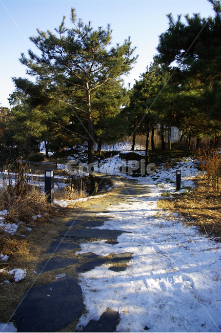 겨울,winter,풍경,설경,눈,나무,길,겨울,계절,winter,season,자연,풍경,nature,landscape,water,물,outdoors,옥외,tree,plant,식물