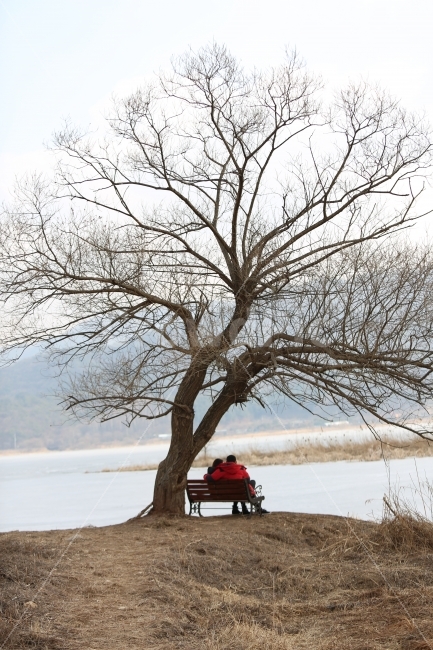 연인,겨울,나무,강,양수리,겨울,계절,winter,season,사람,인물,인간,human,person,연인,커플,사랑,lover,couple