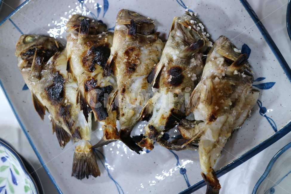 볼락,생선,생선구이,물고기,맛있는생선,자연산,통영볼락,통영,음식,식재료,요리,food,cook,meal,dishes,food reserves,수산물,해산물,fishery products,seafood,한식,한국음식,한국요리,korean food,korean dishes,korean meal,korean cook