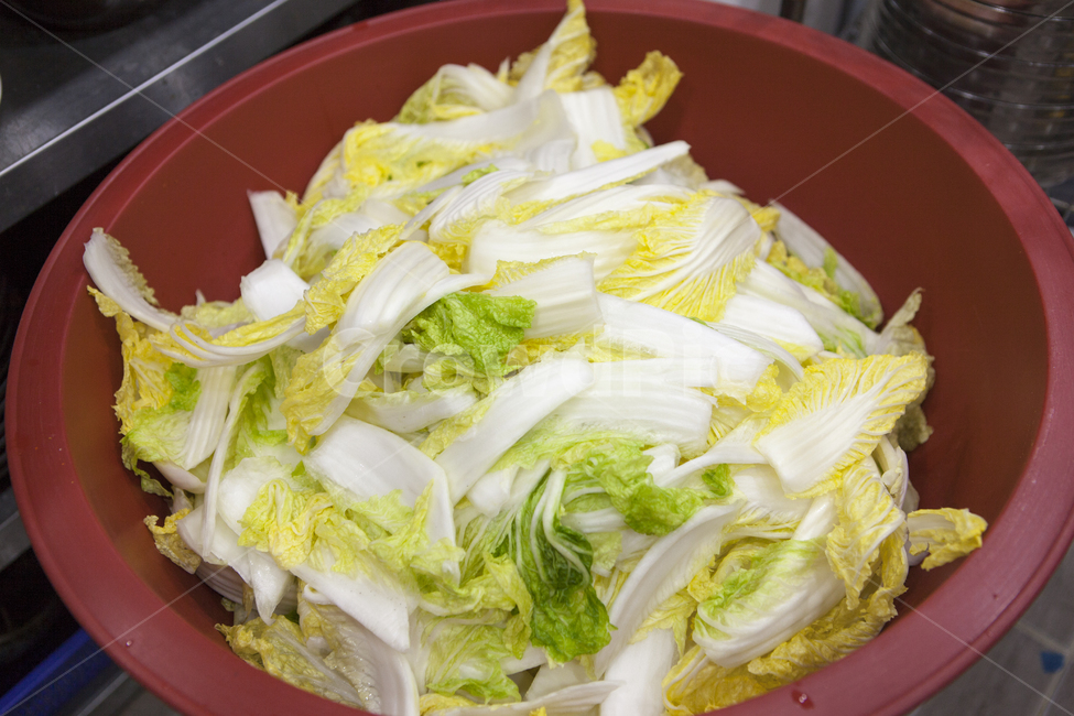 배추,겉절이,김치,김장,김장김치,음식,식재료,요리,food,cook,meal,dishes,food reserves,채소,야채,vegetables