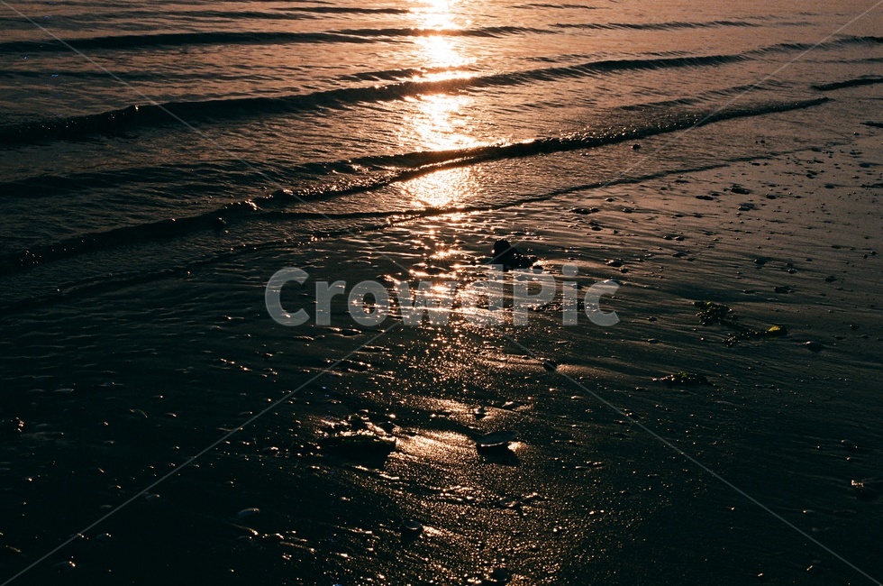 필름사진,윤슬,바다,파도,잔물결,노을,저녁,젖은모래,역광,햇빛,자연,sunlight,nature,outdoors,filmphotography