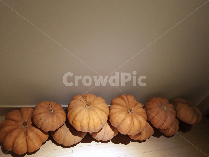 호박,늙은호박,수확,식재료,채소,음식,식품,야채,pumpkin,food,cook,meal,음식,식재료,요리,food,cook,meal,dishes,food reserves,채소,야채,vegetables